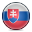 Slovenský jazyk